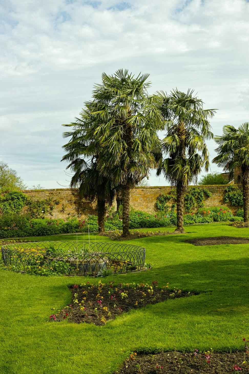 Community courtyard