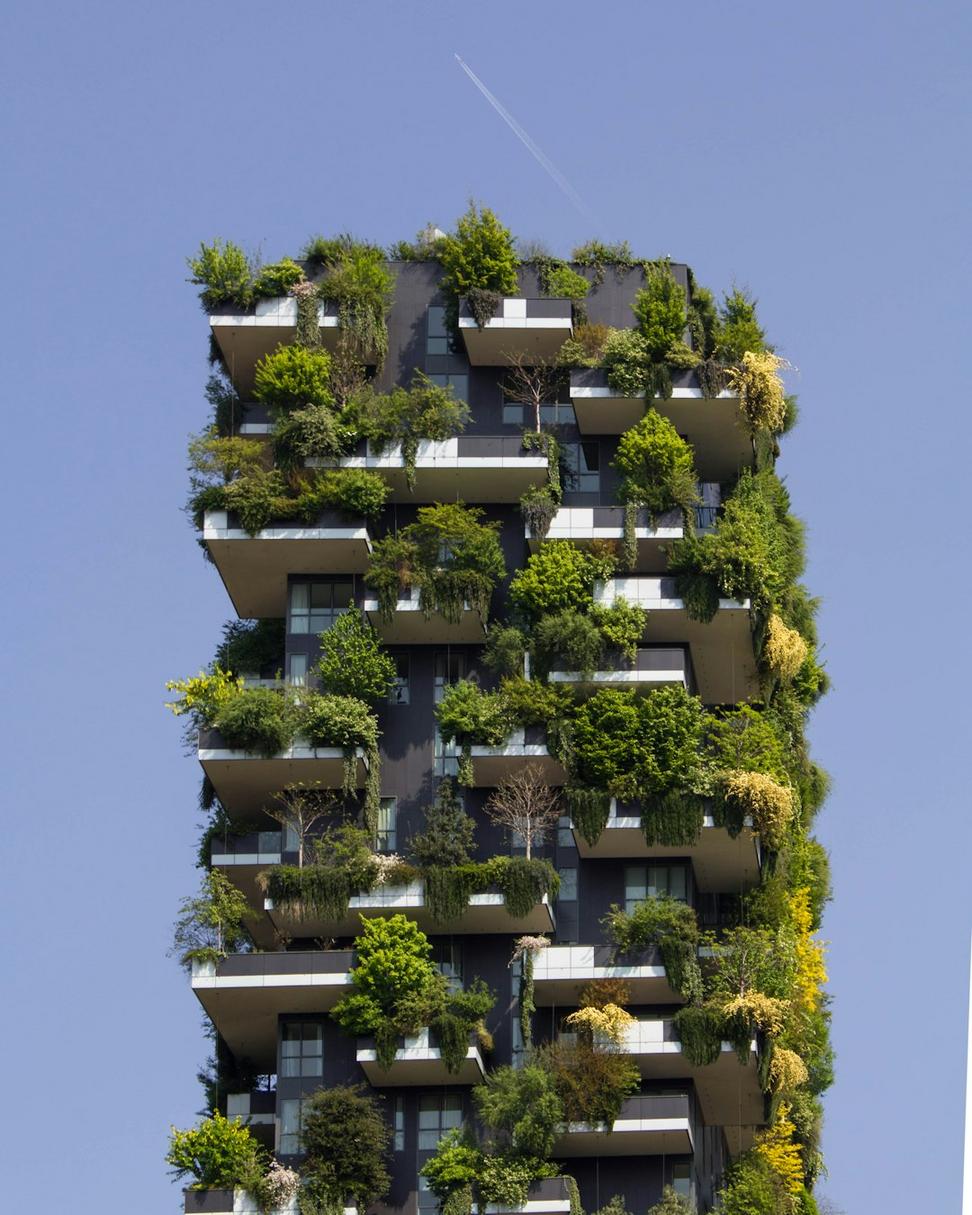 Sustainable Design Process
